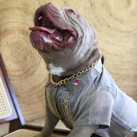 Choco Brown Mens Barong