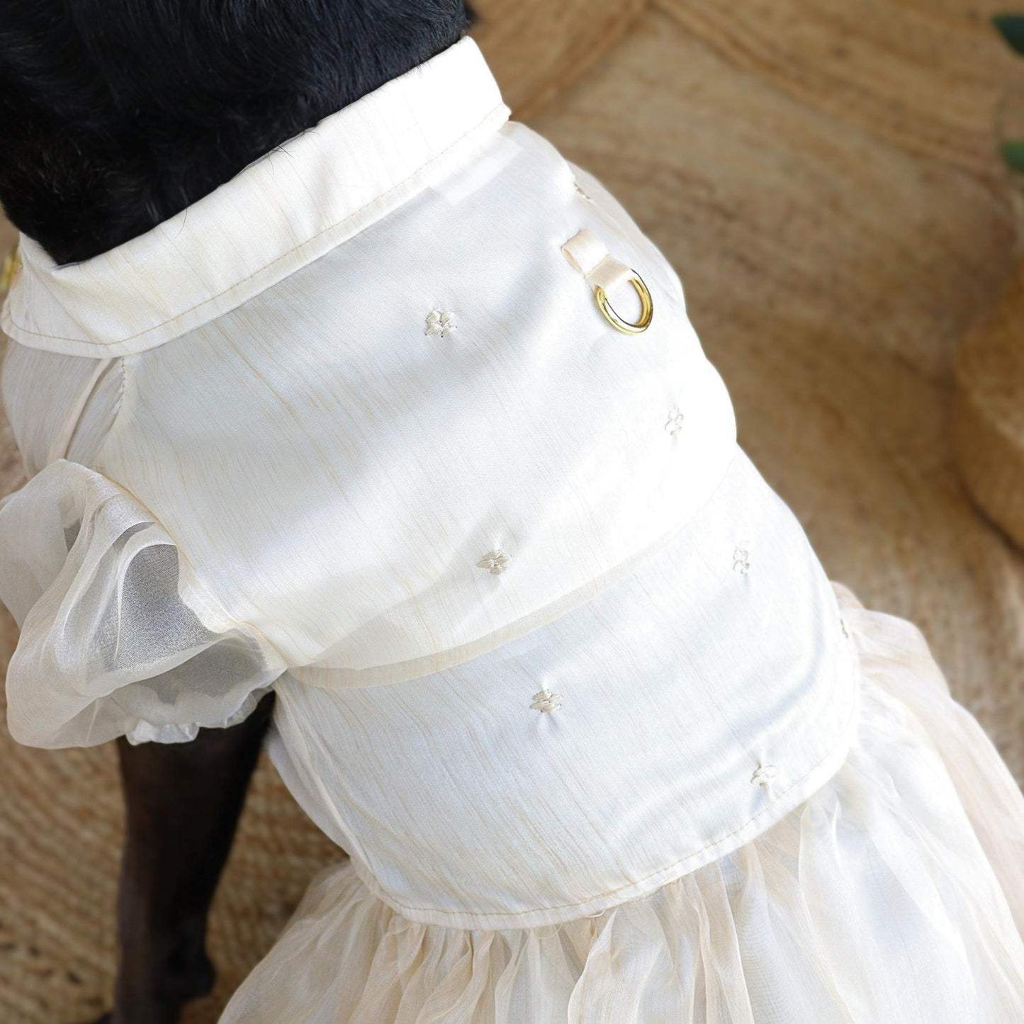 Cream Dress Barong
