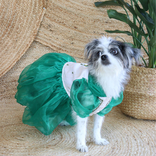 Green Combination Dress Barong