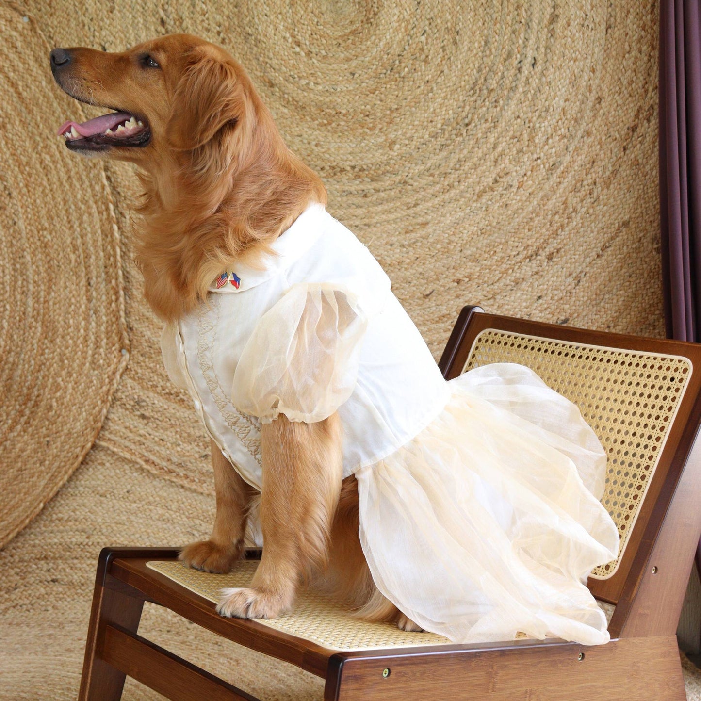 Cream Dress Barong