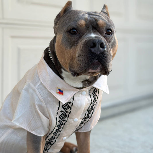 Cream Black Mens Barong