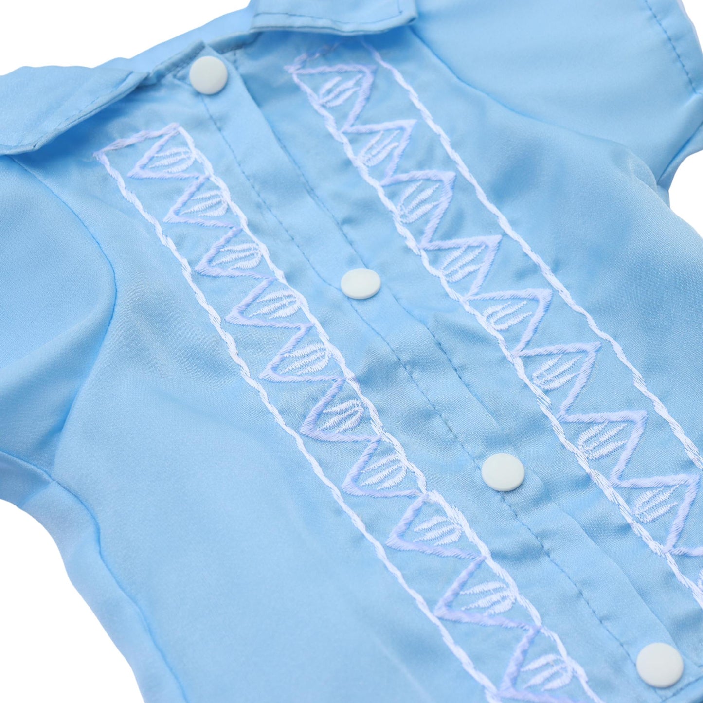 Powder Blue Mens Barong