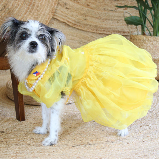 Yellow Gold Dress Barong