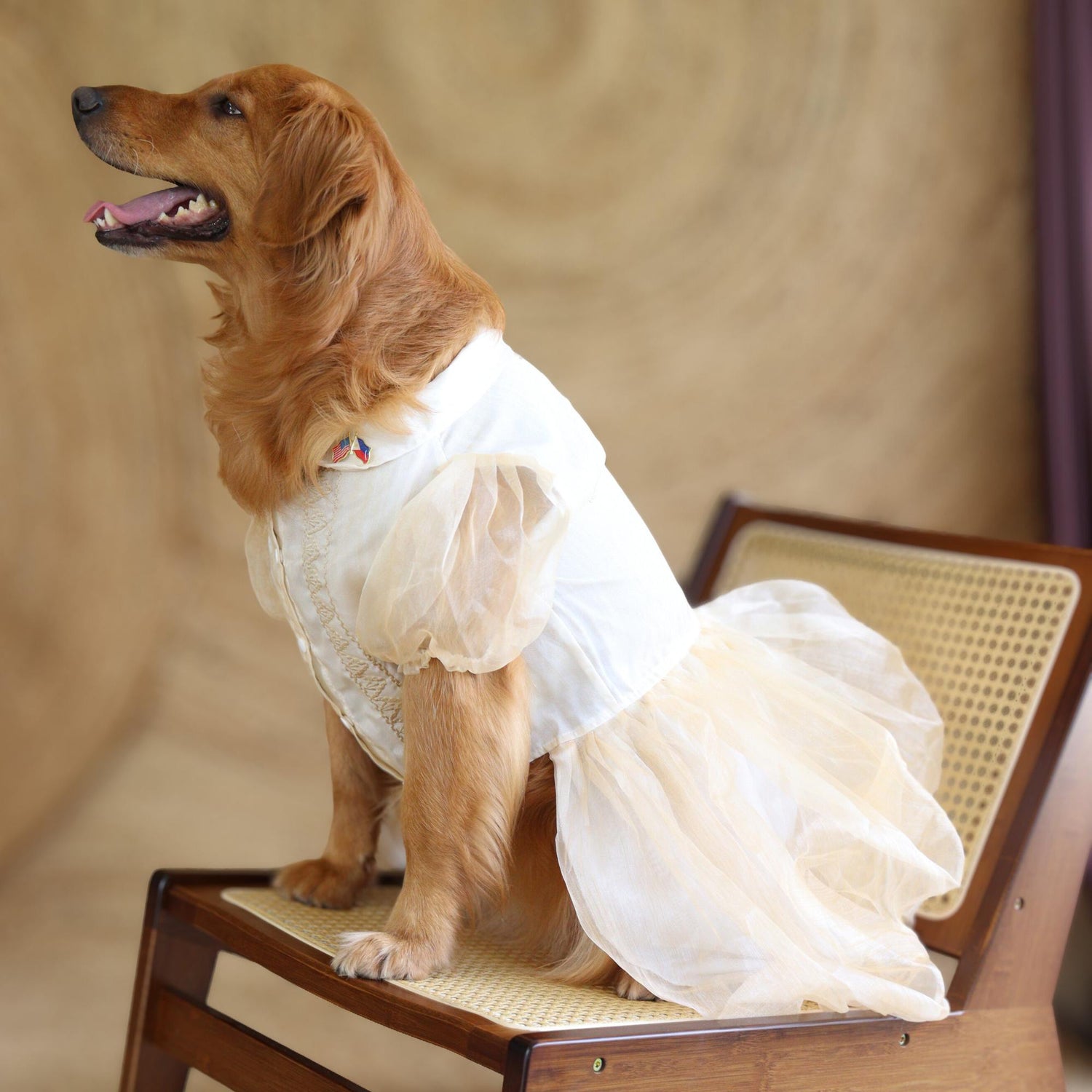 Barong Dresses