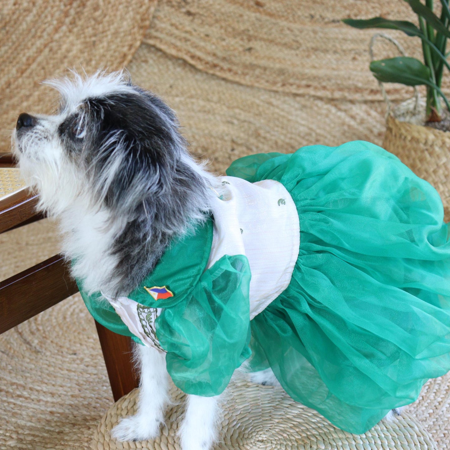 Green Combination Dress Barong