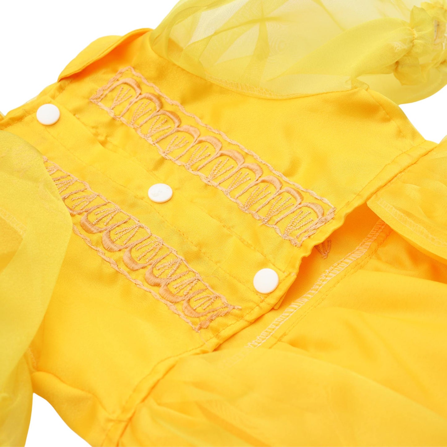 Yellow Gold Dress Barong