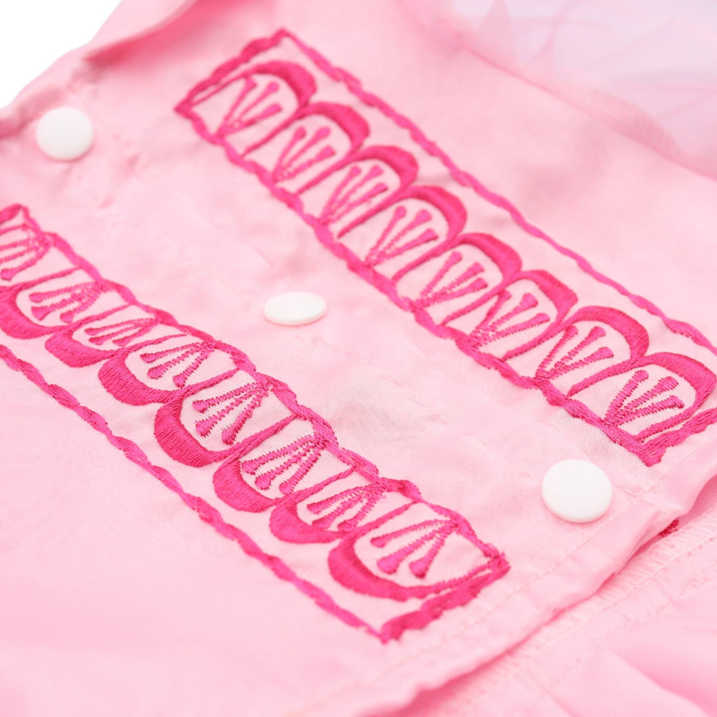 Baby Pink Dress Barong