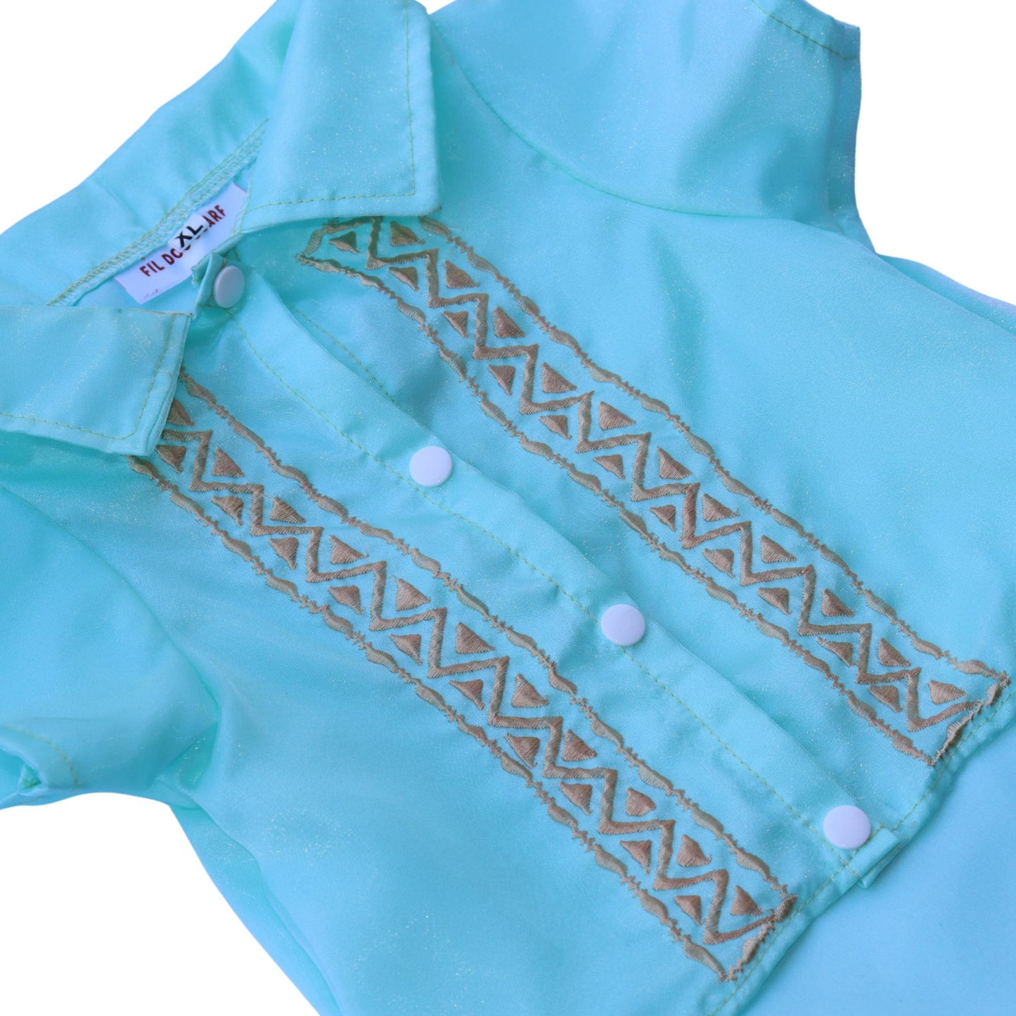 Mint Green Mens Barong